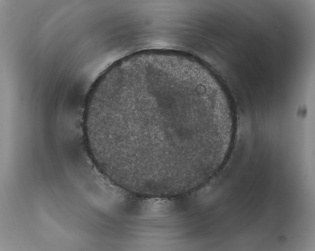 X0000112061314200909151017