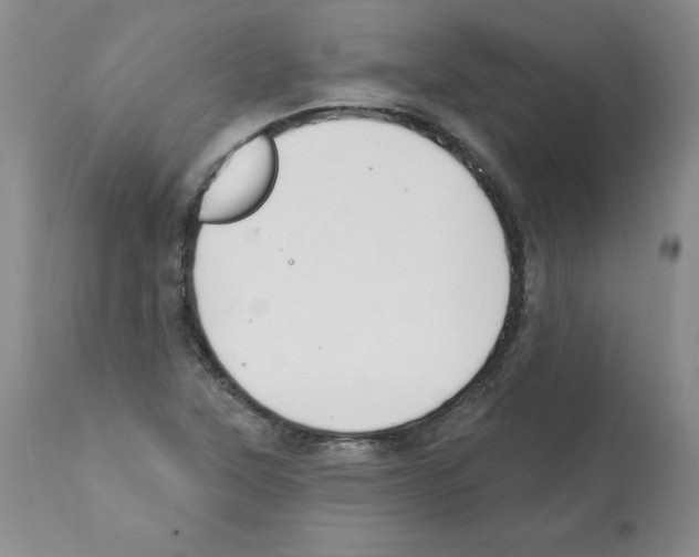 X0000112061315200909151017