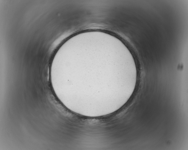 X0000112061317200909151017
