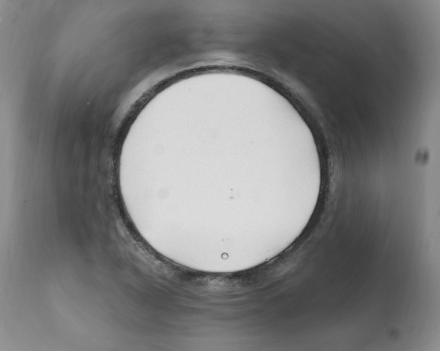 X0000112061318200909151017