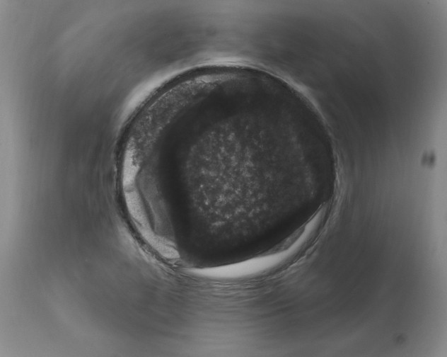 X0000112061319200909151017