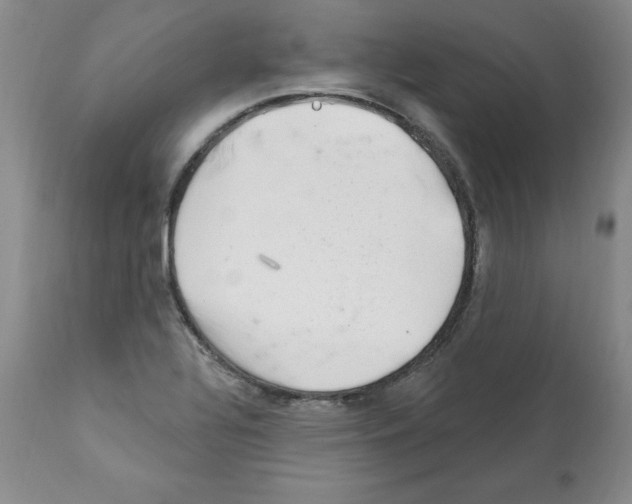 X0000112061320200909151017