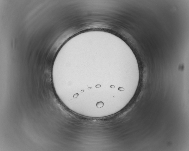 X0000112061321200909151017