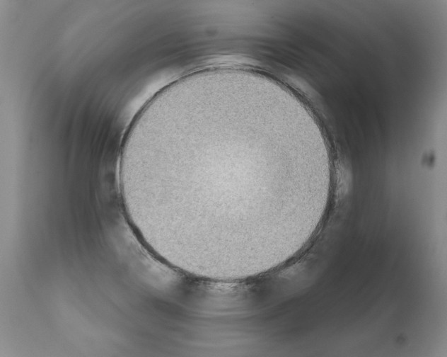 X0000112061322200909151017