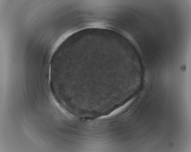 X0000112061323200909151017