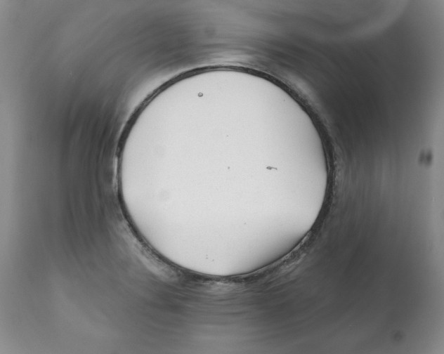 X0000112061324200909151017