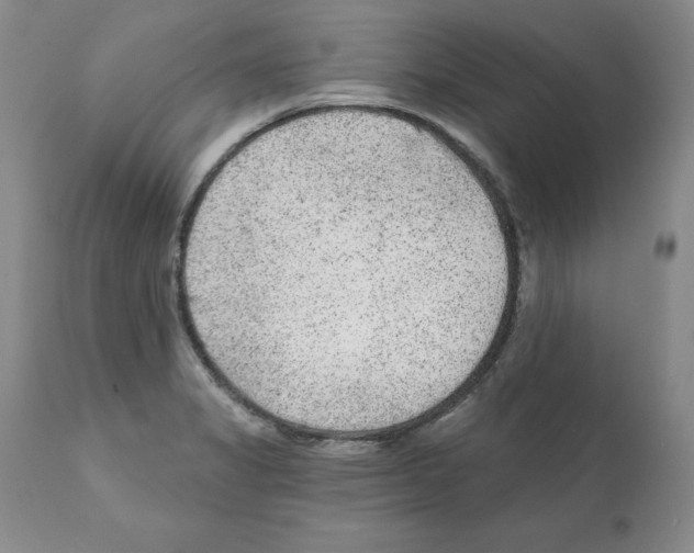 X0000112061325200909151017