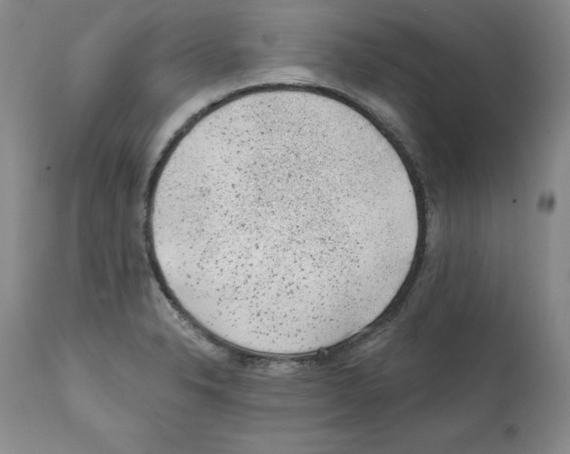 X0000112061326200909151017