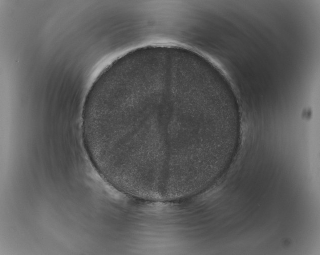 X0000112061327200909151017