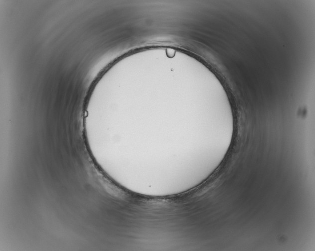 X0000112061328200909151017