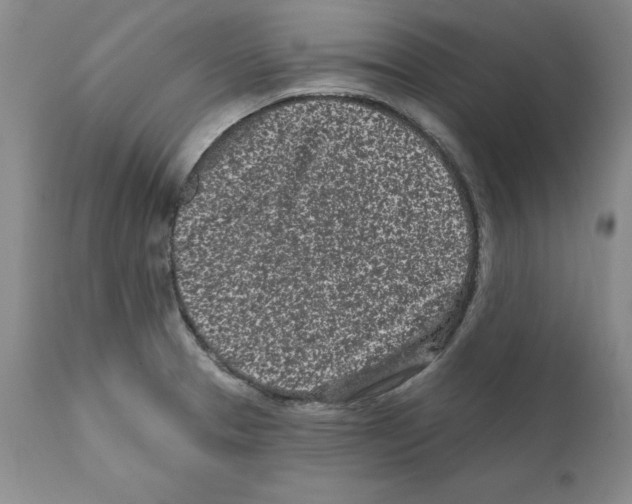 X0000112061329200909151017