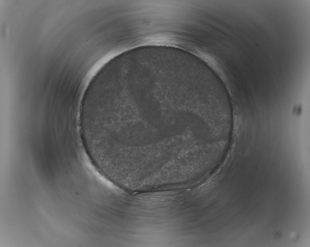 X0000112061331200909151017