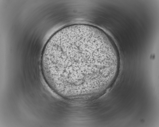 X0000112061333200909151017