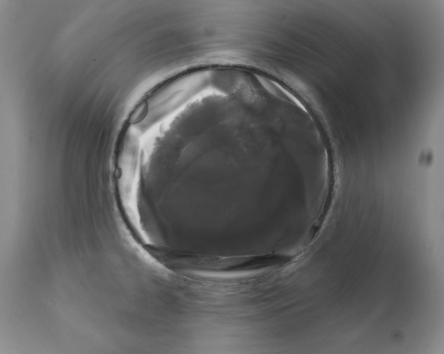 X0000112061334200909151017