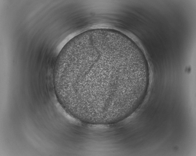 X0000112061337200909151017