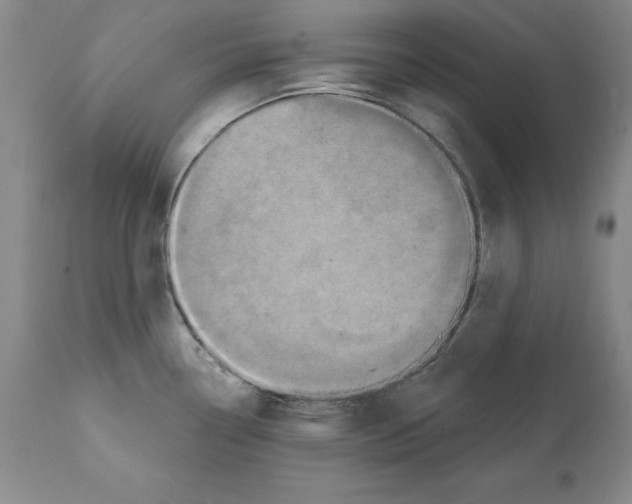 X0000112061338200909151017