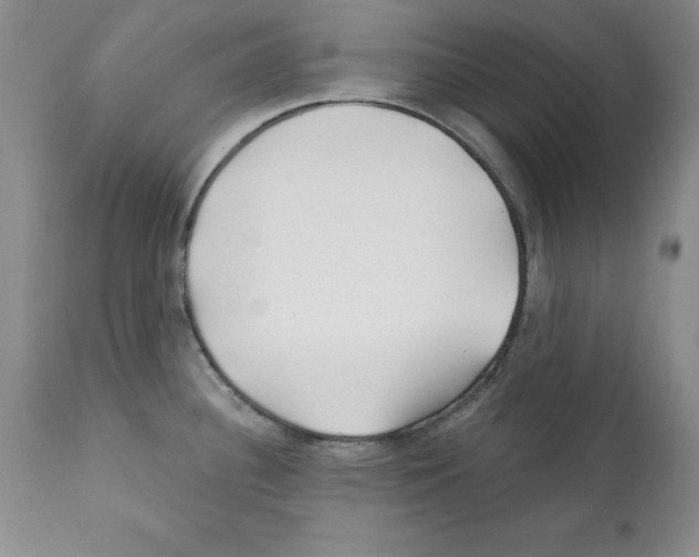 X0000112061340200909151017