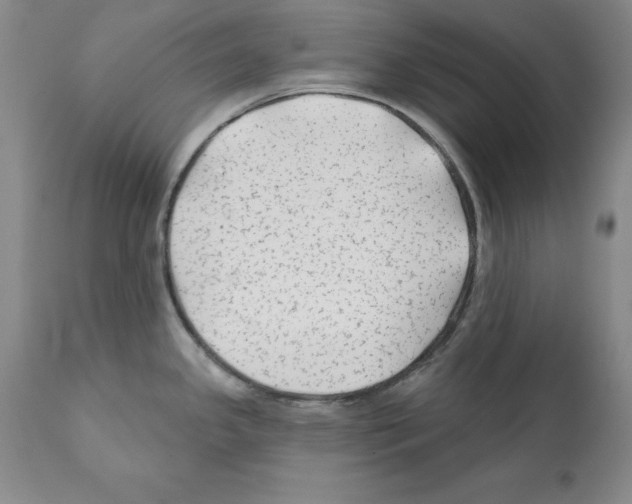 X0000112061341200909151017