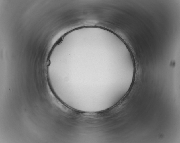 X0000112061342200909151017