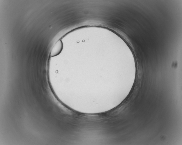 X0000112061343200909151017