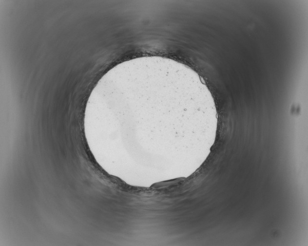 X0000112061345200909151016