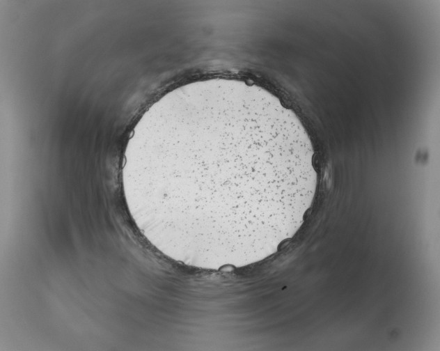 X0000112061348200909151016