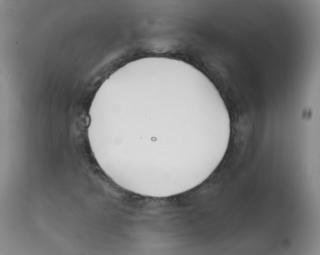 X0000112061349200909151016