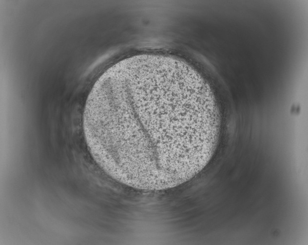 X0000112061350200909151016