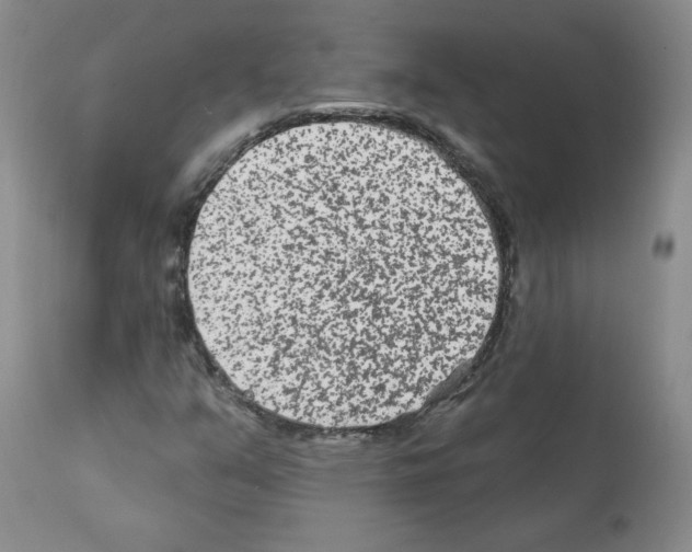X0000112061351200909151016
