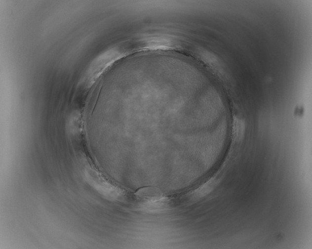 X0000112061353200909151016