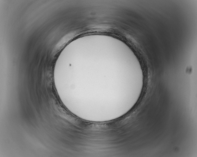 X0000112061354200909151016