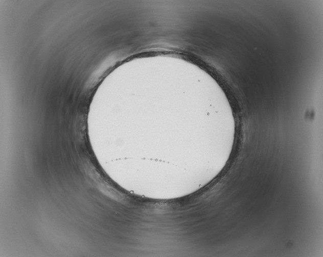 X0000112061355200909151016