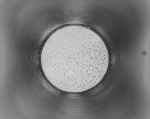 X0000112061356200909151016