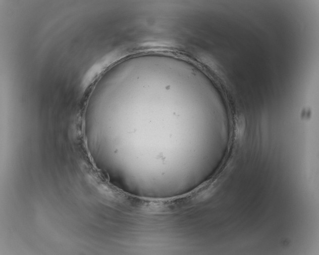 X0000112061357200909151016