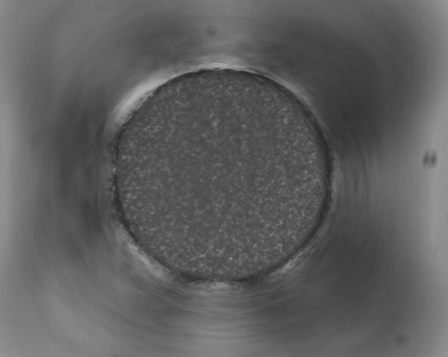 X0000112061359200909151016