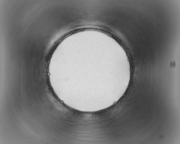 X0000112061360200909151016