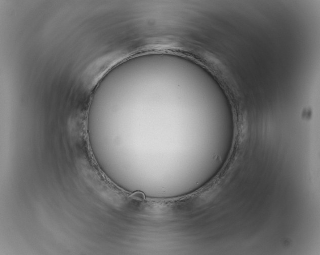 X0000112061361200909151016
