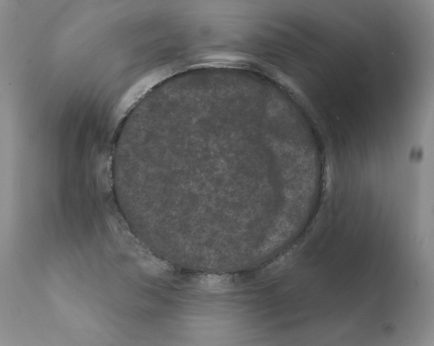 X0000112061362200909151016