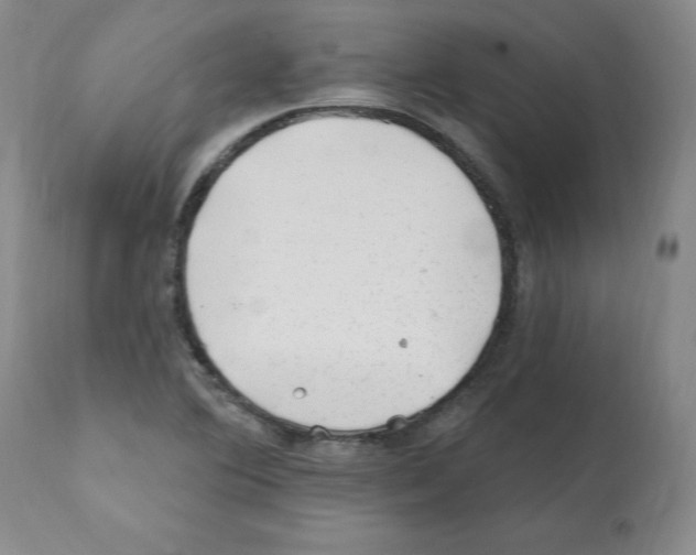 X0000112061364200909151016