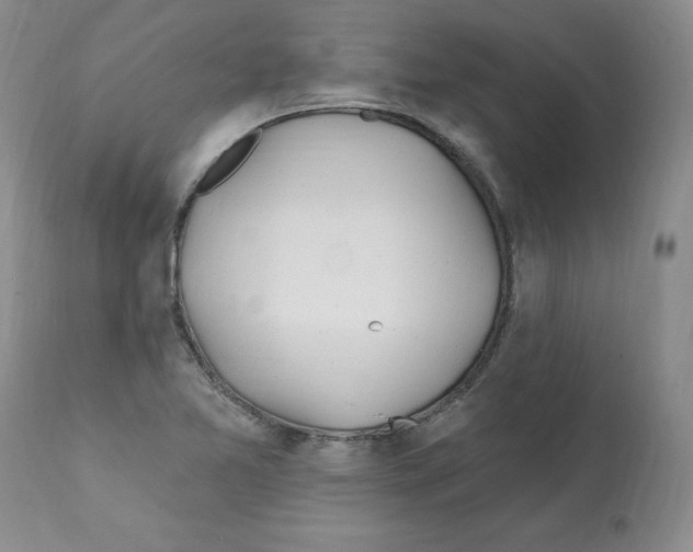 X0000112061365200909151016