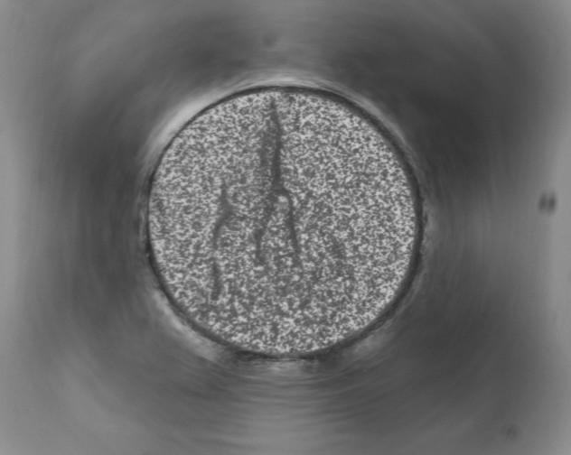 X0000112061367200909151016
