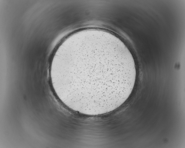 X0000112061368200909151016