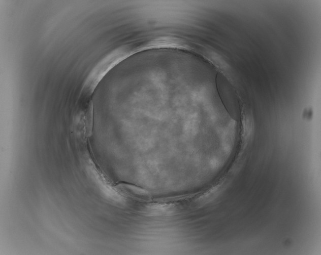 X0000112061369200909151016