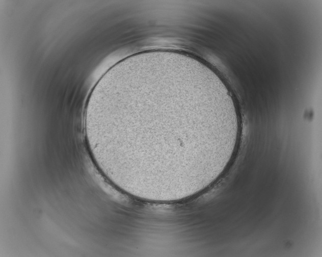 X0000112061370200909151016