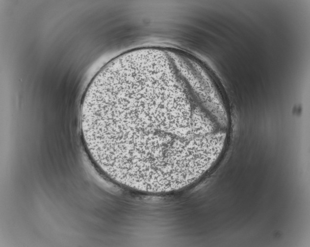 X0000112061371200909151016