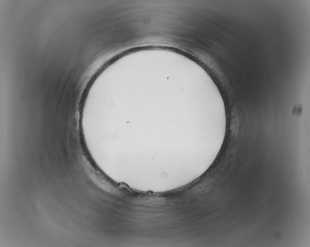 X0000112061372200909151016