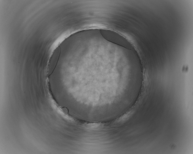 X0000112061373200909151016