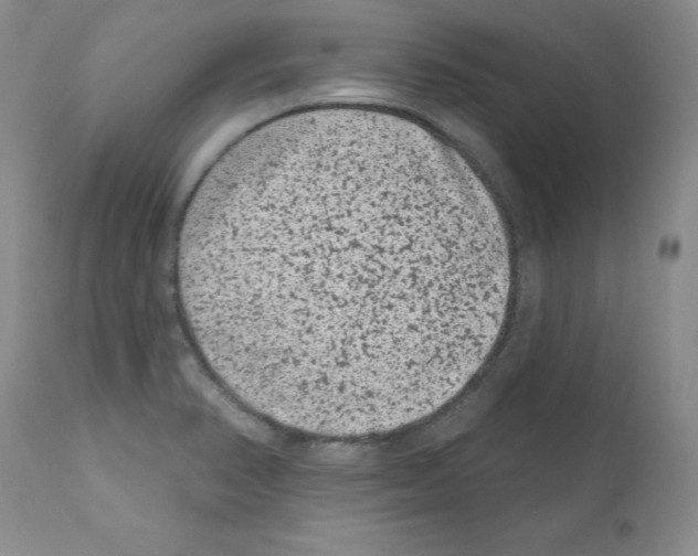 X0000112061374200909151016