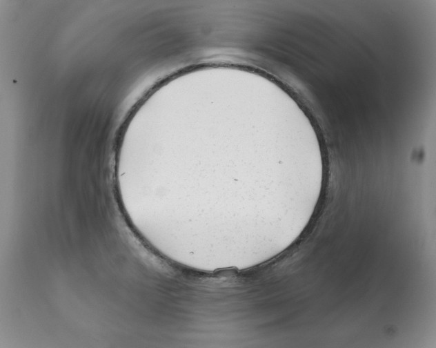 X0000112061376200909151016