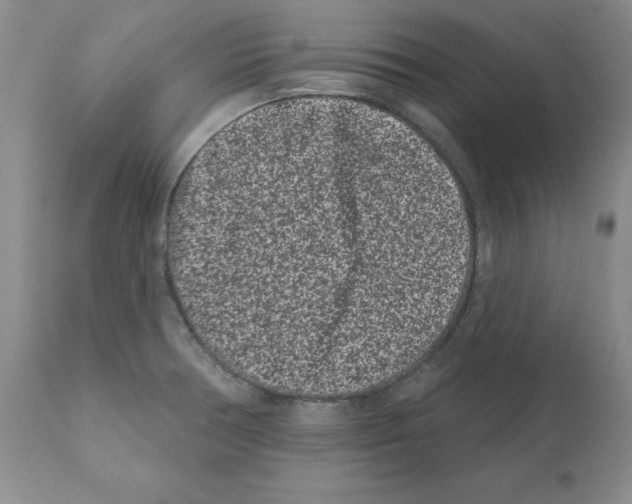 X0000112061378200909151016